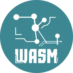ZKWASM